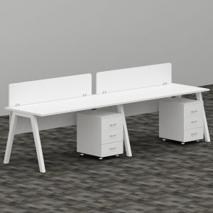 EVA Series 2-Person Workstation