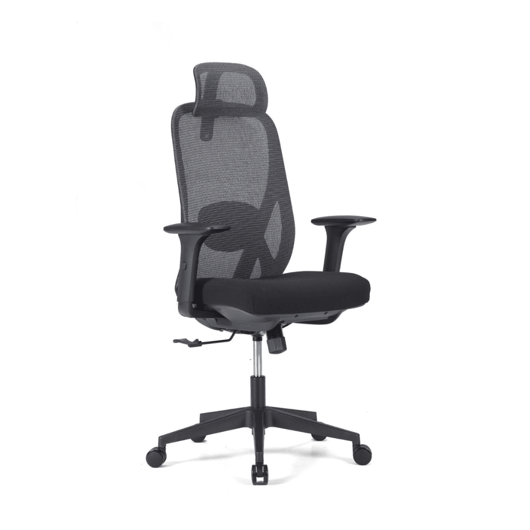 Casa Mesh Manager Chair