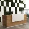 Emilia Reception Desk Office Concept Furniture - Office Furniture Manufacturer & Supplier in Dubai Emilia Reception Desk Office Concept Furniture - Office Furniture Manufacturer & Supplier in Dubai