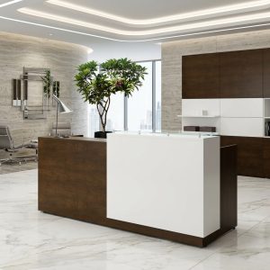 Isabella Reception Table 3/4 angled view with walnut body, raised white counter and glass shelf Dubai