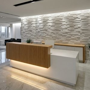 Lily Reception Table Executive Front View Dubai Office Concept Furniture - Office Furniture Manufacturer & Supplier in Dubai Lily Reception Table direct eye-level front view commercial reception desk Dubai